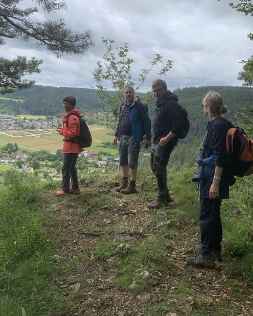 Vier Wanderer blicken von einem Aussichtspunkt auf das Donautal